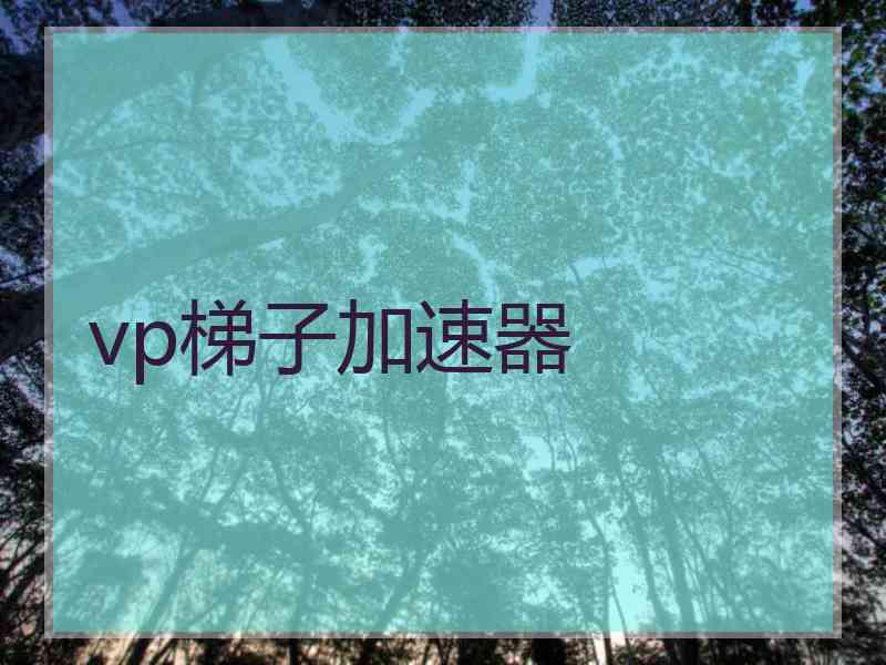 vp梯子加速器