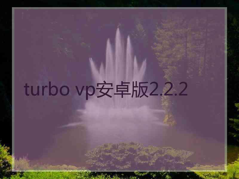 turbo vp安卓版2.2.2