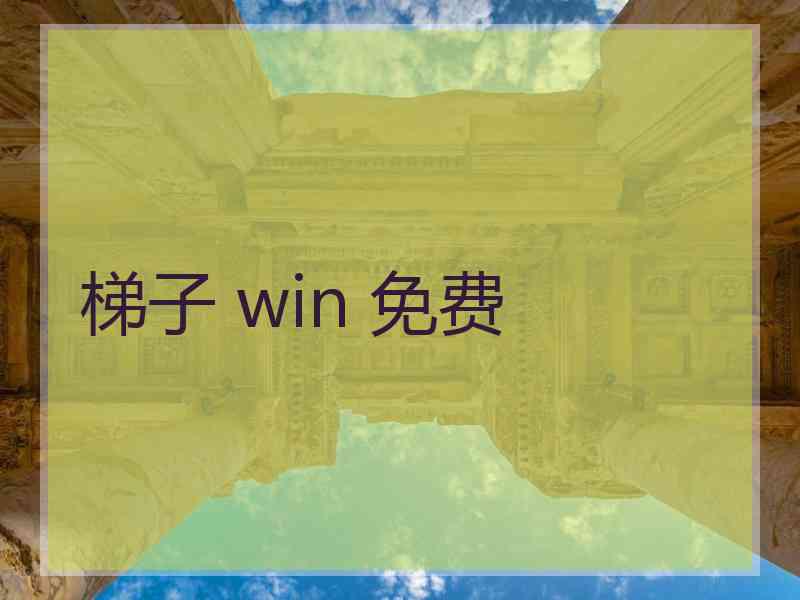 梯子 win 免费