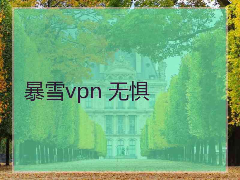 暴雪vpn 无惧