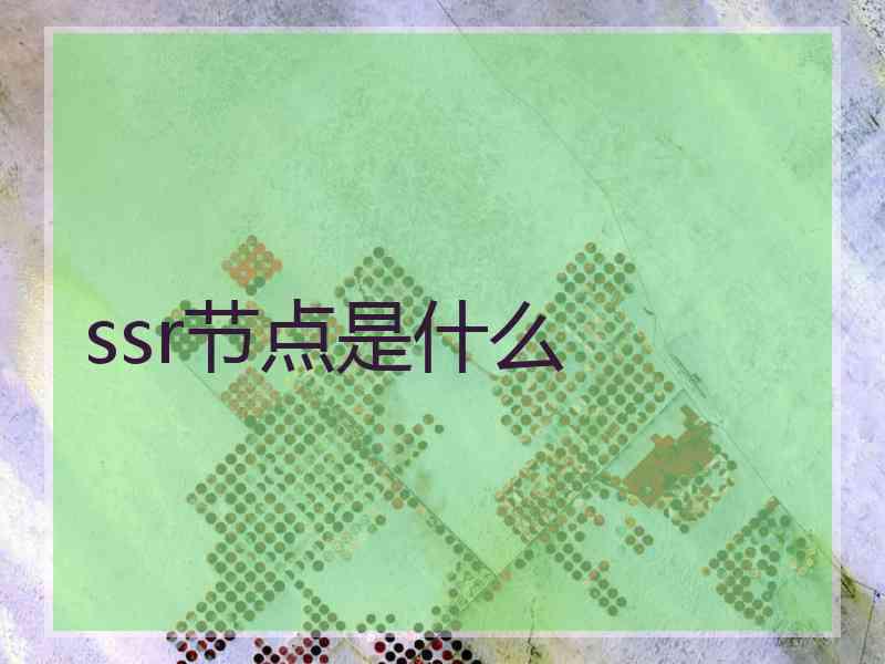 ssr节点是什么