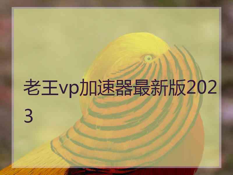 老王vp加速器最新版2023