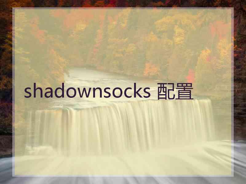 shadownsocks 配置