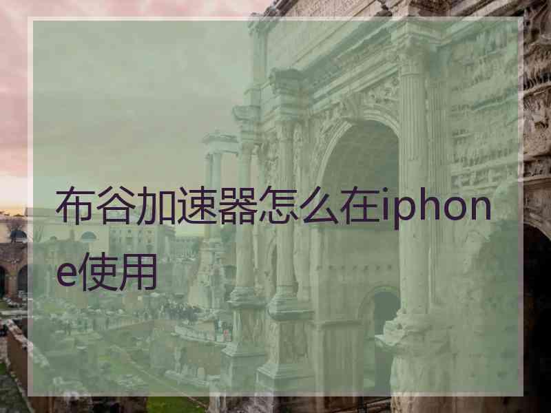 布谷加速器怎么在iphone使用