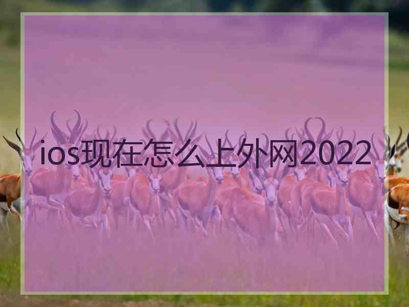 ios现在怎么上外网2022