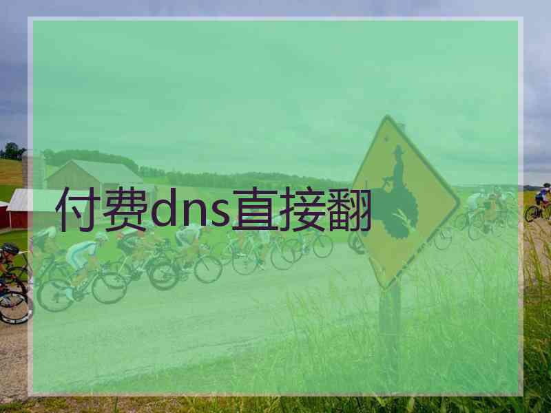 付费dns直接翻