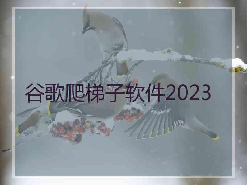 谷歌爬梯子软件2023