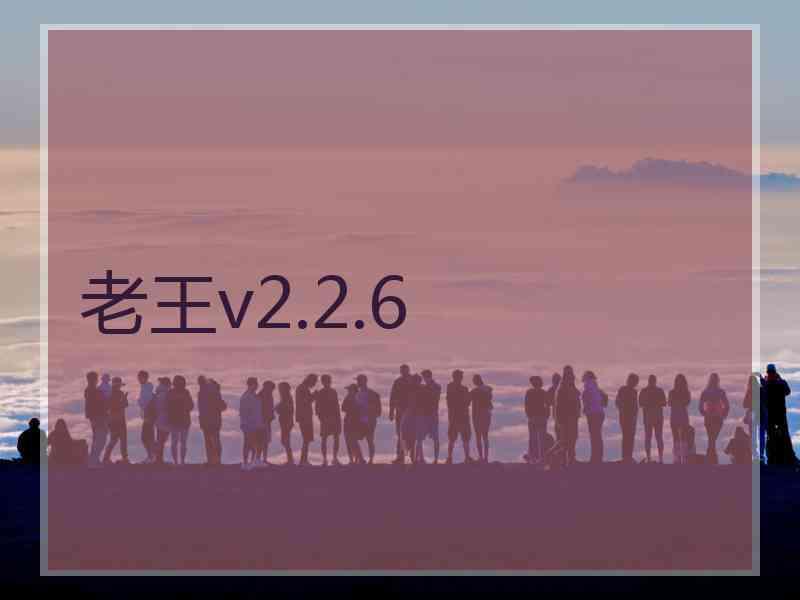 老王v2.2.6