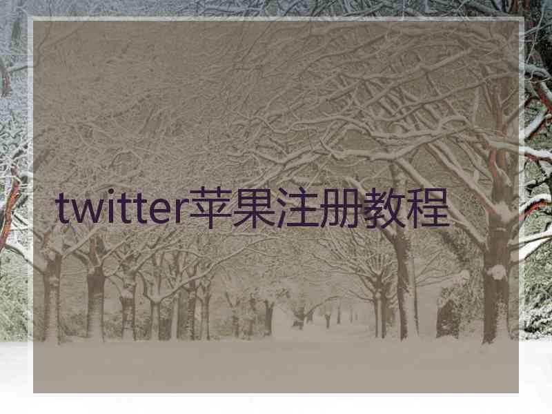 twitter苹果注册教程