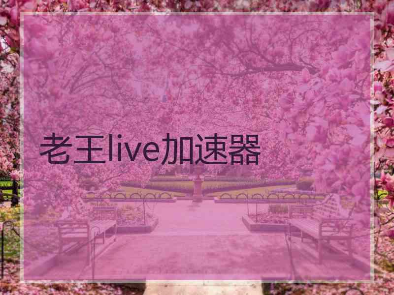 老王live加速器