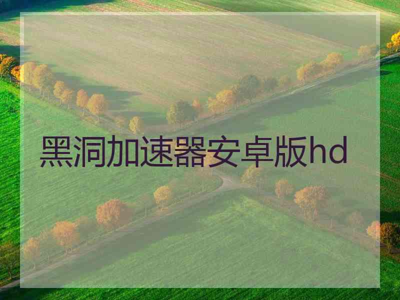 黑洞加速器安卓版hd