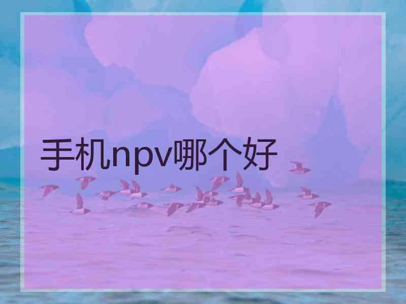 手机npv哪个好