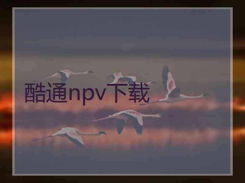 酷通npv下载