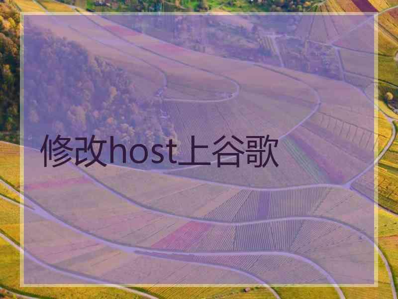 修改host上谷歌