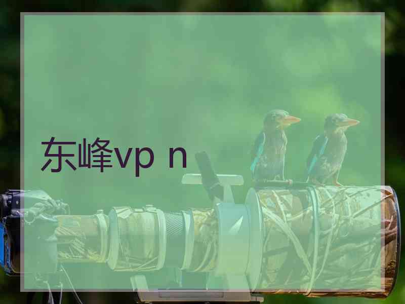 东峰vp n