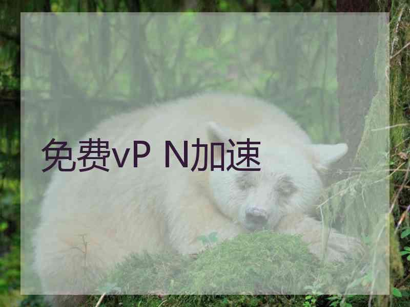 免费vP N加速