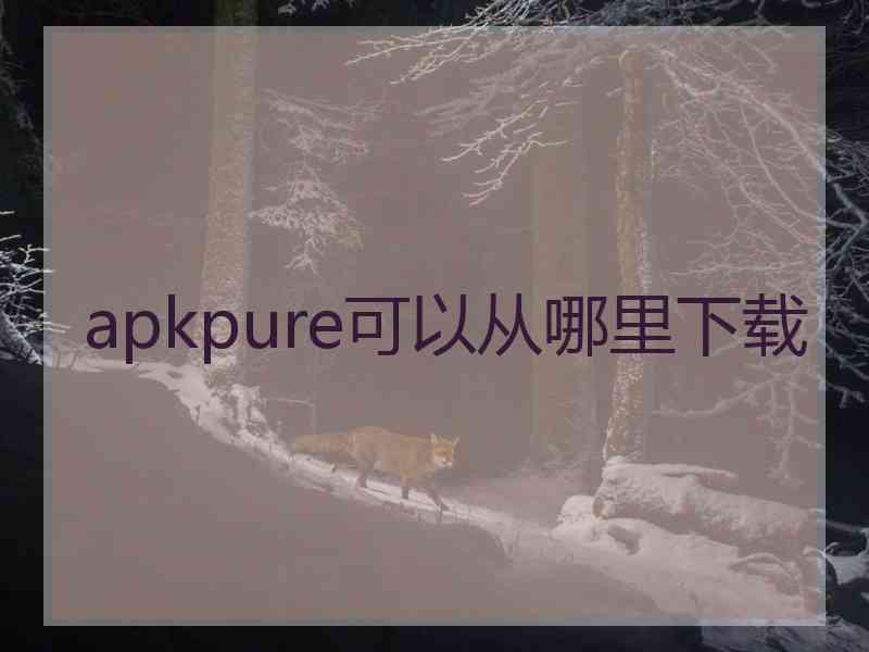 apkpure可以从哪里下载