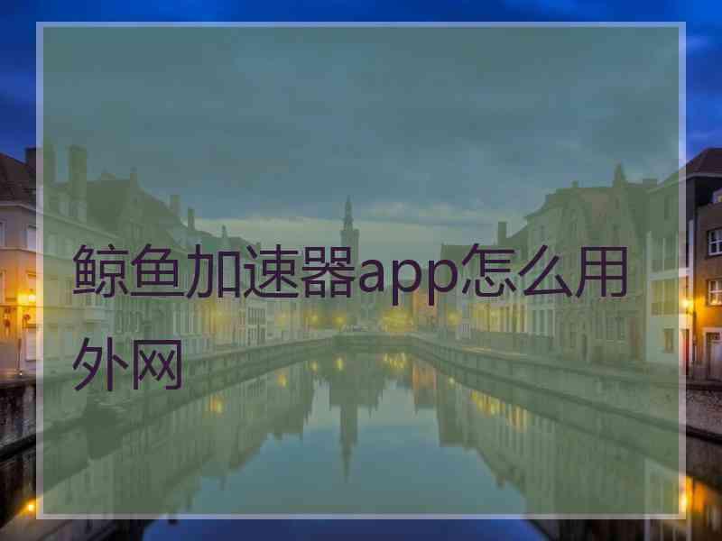 鲸鱼加速器app怎么用外网