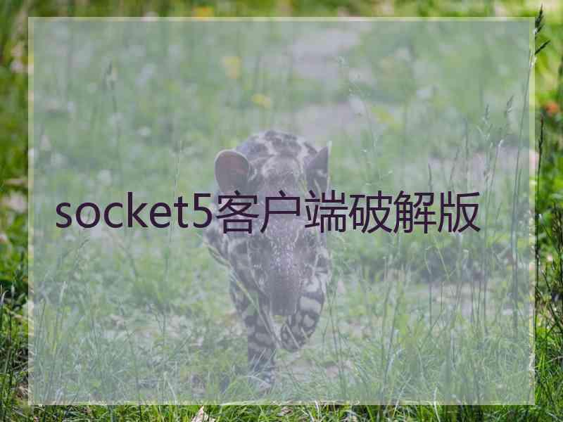 socket5客户端破解版