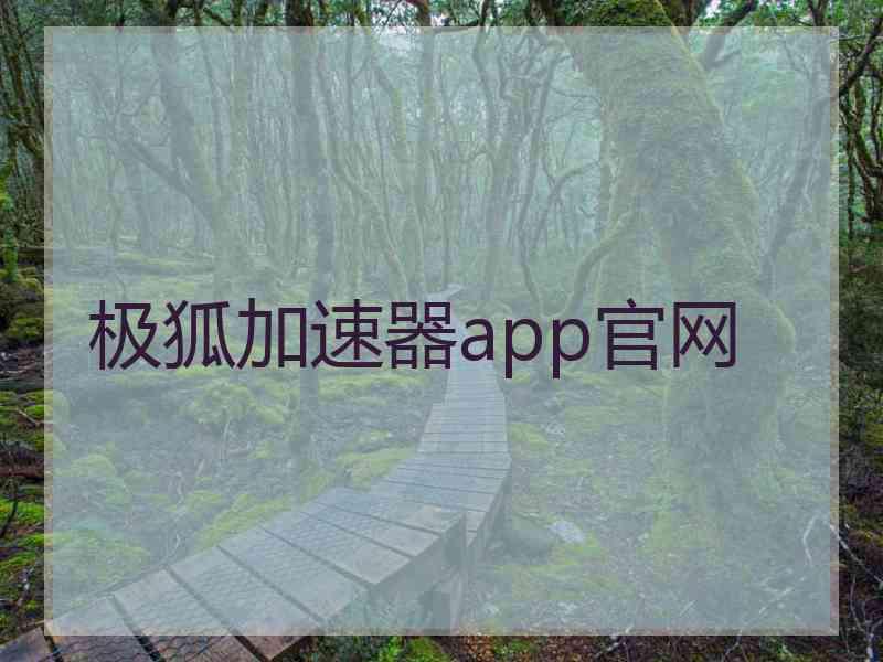 极狐加速器app官网