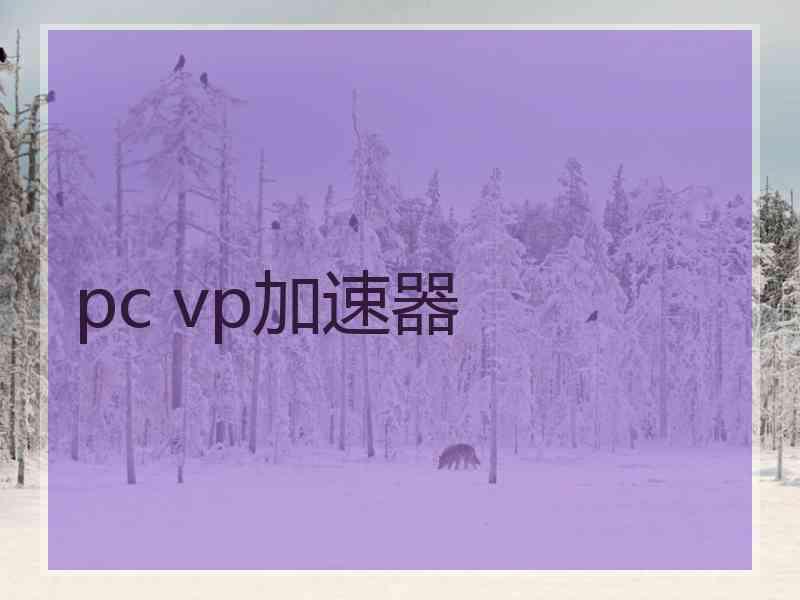 pc vp加速器