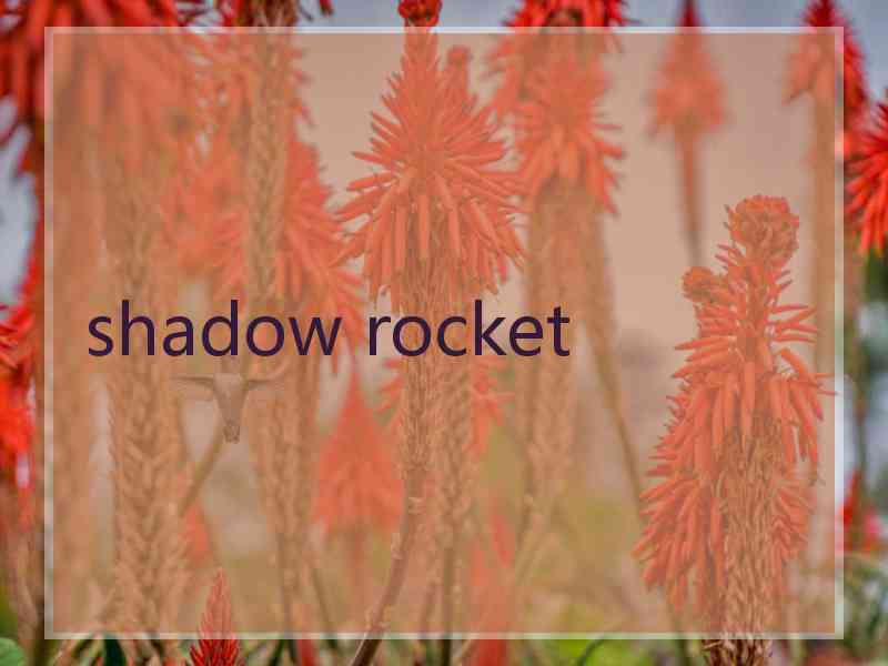 shadow rocket