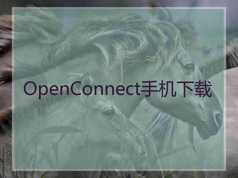 OpenConnect手机下载