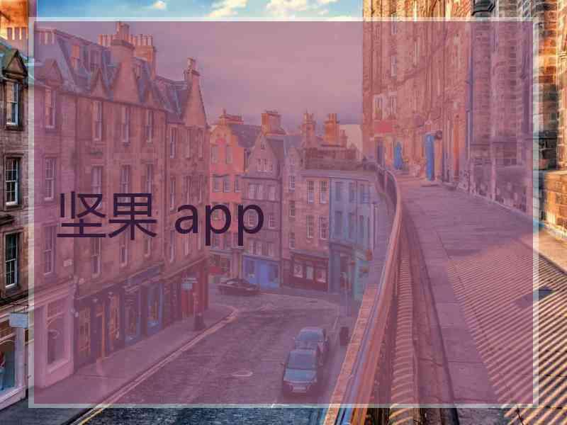 坚果 app