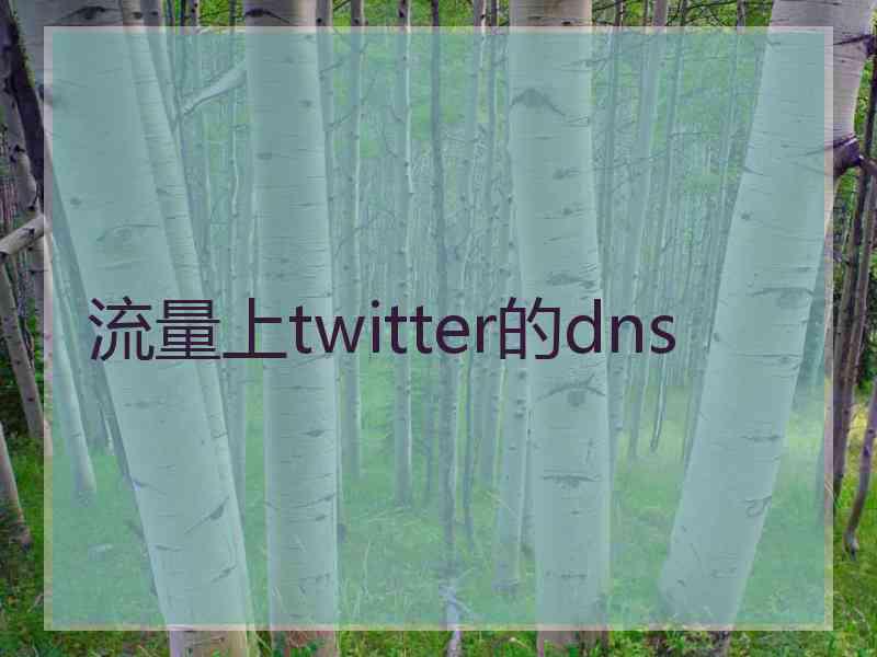 流量上twitter的dns