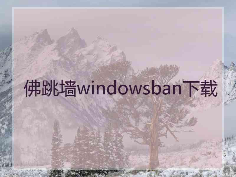 佛跳墙windowsban下载