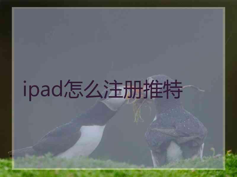 ipad怎么注册推特