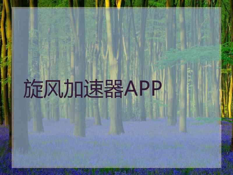 旋风加速器APP