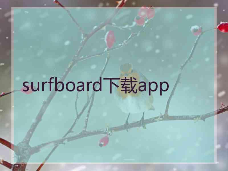 surfboard下载app