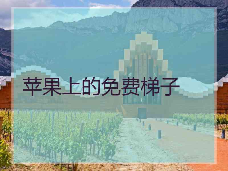 苹果上的免费梯子