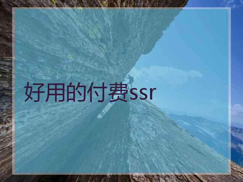 好用的付费ssr