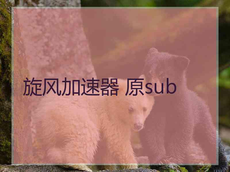 旋风加速器 原sub