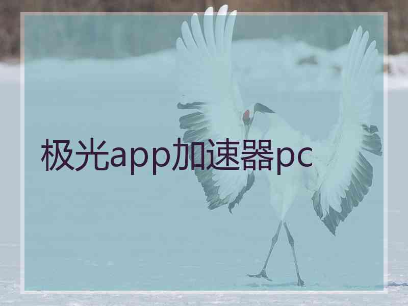 极光app加速器pc