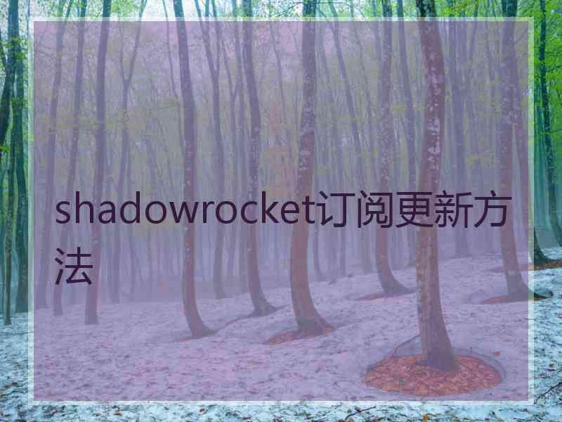 shadowrocket订阅更新方法