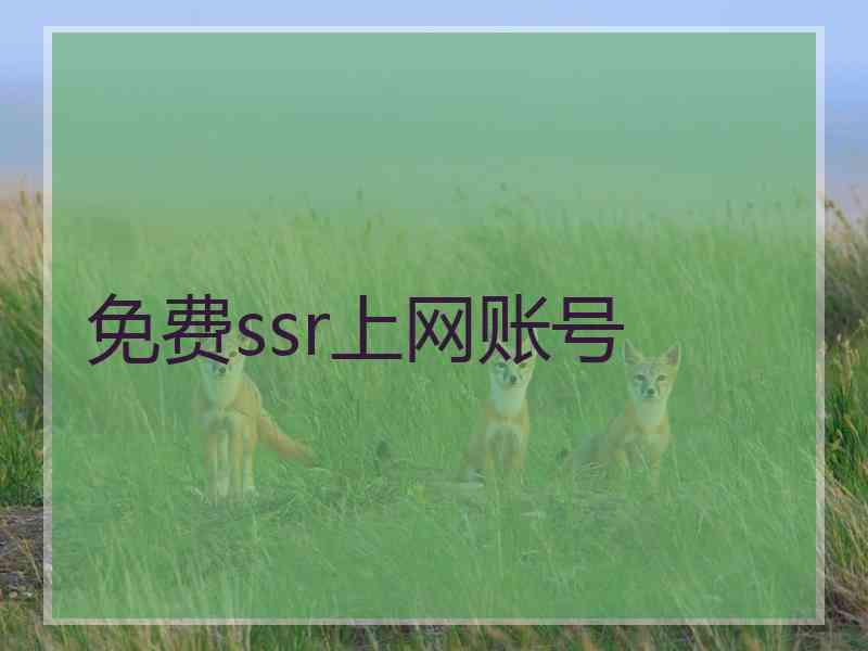 免费ssr上网账号