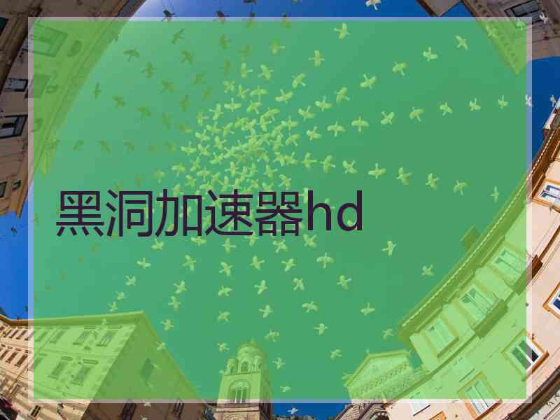 黑洞加速器hd