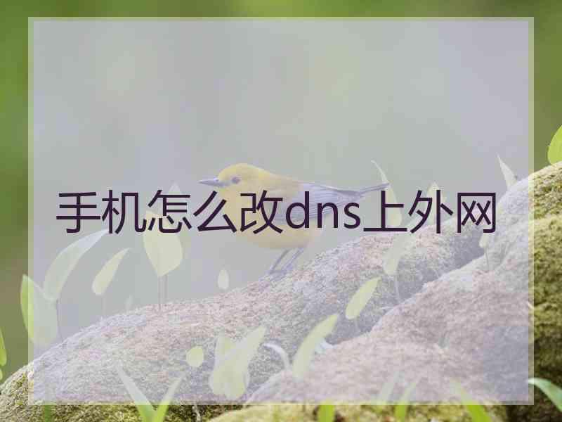 手机怎么改dns上外网