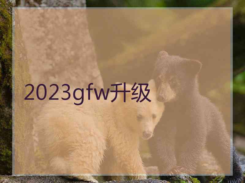 2023gfw升级