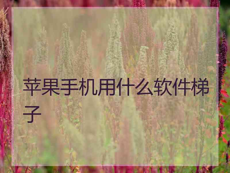 苹果手机用什么软件梯子