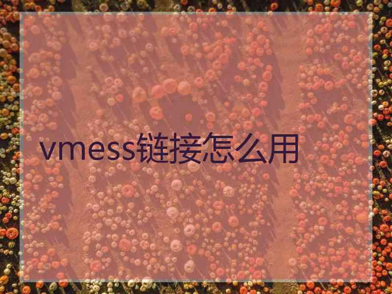 vmess链接怎么用