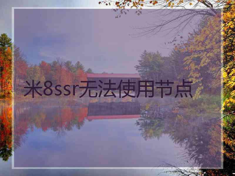 米8ssr无法使用节点