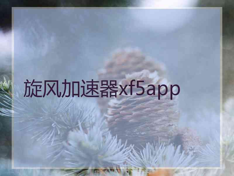 旋风加速器xf5app