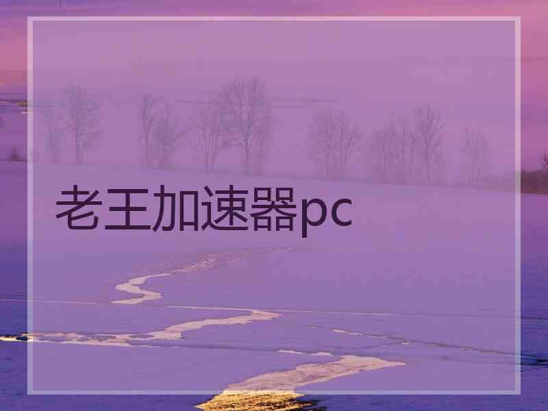 老王加速器pc