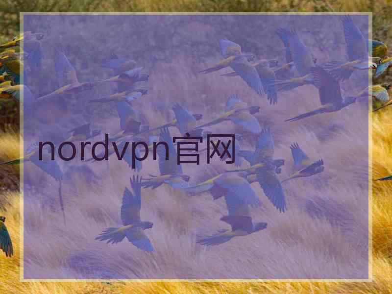 nordvpn官网