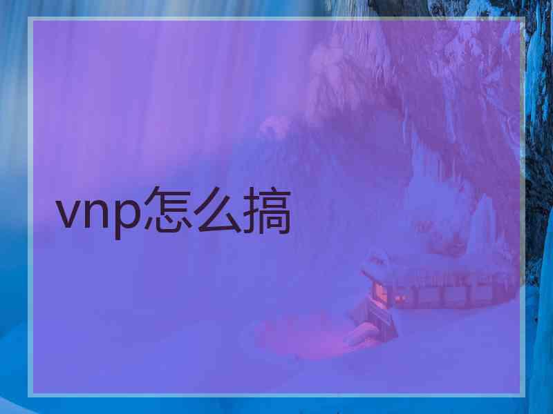 vnp怎么搞