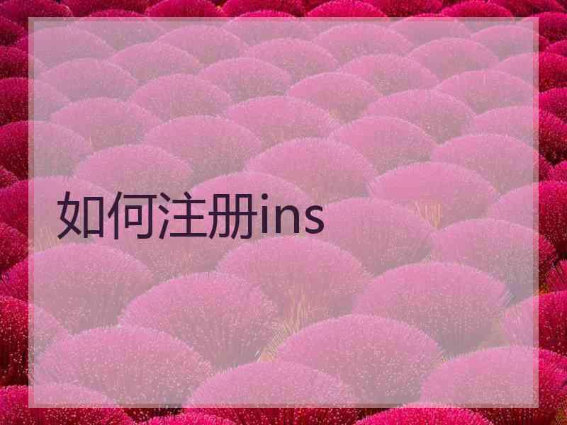 如何注册ins